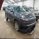 1C4PJMDS2HW620422 2017 Jeep Cherokee Limited 4X4 auction photo thumbnail 1