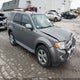 1FMCU9E76AKA79753 2010 Ford Escape Limited auction photo thumbnail 1