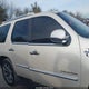 1GYUCCEF5AR223682 2010 Cadillac Escalade Premium auction photo thumbnail 12