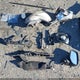 JF1GPAR66EH284594 2014 Subaru Impreza 2.0I Sport Limited auction photo thumbnail 18
