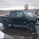 1FTFW1ET1EFA52310 2014 Ford F-150 Fx4 auction photo thumbnail 14
