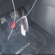 3N1AB8CV0RY206252 2024 Nissan Sentra Sv Xtronic Cvt auction photo thumbnail 11