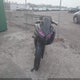 ML5EXER1XRDAD3872 2024 Kawasaki Ex650 R auction photo thumbnail 5