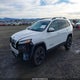 1C4PJMCB7GW187213 2016 Jeep Cherokee Altitude auction photo thumbnail 2