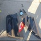 19XFB2F51FE060999 2015 Honda Civic Lx auction photo thumbnail 12