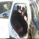 YV4M12RM3S1026022 2025 Volvo Xc60 B5 Ultra auction photo thumbnail 8