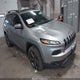1C4PJMCB5GW247098 2016 Jeep Cherokee 75Th Anniversary auction photo thumbnail 1