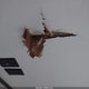 4YDT24427LY934329 2020 Coleman Other auction photo thumbnail 6