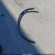 1C4RDJEG8HC923635 2017 Dodge Durango Citadel Awd auction photo thumbnail 12