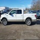 1FTPW14V59KB99914 2009 Ford F-150 Fx4/King Ranch/Lariat/Platinum/Xl/Xlt auction photo thumbnail 14