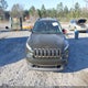1C4PJLCS6GW283960 2016 Jeep Cherokee 75Th Anniversary auction photo thumbnail 12