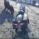 1HD1FJL1XVY600948 1997 Harley-Davidson Flhp auction photo thumbnail 6