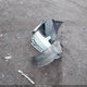 1NXBR32E23Z039898 2003 Toyota Corolla Ce/Le/S auction photo thumbnail 12
