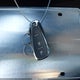 3GNAXHEV4NS170565 2022 Chevrolet Equinox Fwd Ls auction photo thumbnail 11