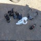 3FMCR9B60RRE88027 2024 Ford Bronco Sport Big Bend auction photo thumbnail 12