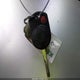 1FMCU0F75DUA84204 2013 Ford Escape S auction photo thumbnail 11