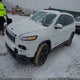 1C4PJMDS4HW567027 2017 Jeep Cherokee High Altitude 4X4 auction photo thumbnail 2