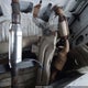 1FTSE34L37DB44886 2007 Ford E-350 Super Duty Commercial/Recreational auction photo thumbnail 15