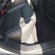 1N4AA6AP8JC406646 2018 Nissan Maxima 3.5 Sv auction photo thumbnail 8