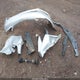 4T1BF1FKXDU718039 2013 Toyota Camry L auction photo thumbnail 12