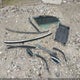 WBAHN83517DT71453 2007 BMW 750Li auction photo thumbnail 12