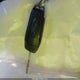 1FA6P0H71G5135028 2016 Ford Fusion Se auction photo thumbnail 11