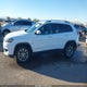1C4PJLLBXKD406017 2019 Jeep Cherokee Latitude Plus auction photo thumbnail 14