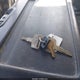 4GTJ7F1304F700114 2004 Isuzu T7F042-Fvr auction photo thumbnail 10