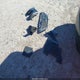 JTHGL46F675001254 2007 Lexus Ls 460 L auction photo thumbnail 12