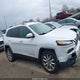 1C4PJLDB4GW157935 2016 Jeep Cherokee Limited auction photo thumbnail 13