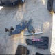 2GKFLUE55C6344727 2012 GMC Terrain Slt-1 auction photo thumbnail 12