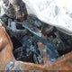 2HKRS4H29RH429054 2024 Honda Cr-V Lx Awd auction photo thumbnail 7