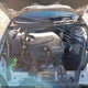 2G1WB57KX91163063 2009 Chevrolet Impala Ls auction photo thumbnail 10