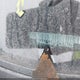 1N4AL3AP3FC579023 2015 Nissan Altima 2.5 S auction photo thumbnail 11