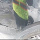 5NMZT3LB3JH085155 2018 Hyundai Santa Fe Sport 2.4L auction photo thumbnail 12