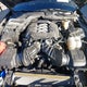 1FA6P8CFXR5417748 2024 Ford Mustang Gt Premium Fastback auction photo thumbnail 10