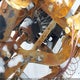 LCELDUZB3M6011705 2021 Cfmo Cforce auction photo thumbnail 9