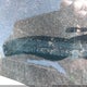 3CZRU6H14KG706621 2019 Honda Hr-V Sport auction photo thumbnail 17
