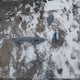 5TEUU42N69Z619950 2009 Toyota Tacoma Base V6 auction photo thumbnail 12