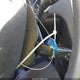 1FA6P0H72F5102120 2015 Ford Fusion Se auction photo thumbnail 11