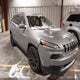 1C4PJLDB8GW338911 2016 Jeep Cherokee Limited auction photo thumbnail 1