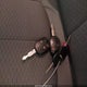1FTMF1CM4DFB97049 2013 Ford F-150 Xlt auction photo thumbnail 11