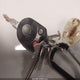 1FMCU0EG3BKB95280 2011 Ford Escape Limited auction photo thumbnail 11