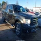 1FTEX1E86AFD83821 2010 Ford F-150 Stx/Xl/Xlt auction photo thumbnail 1