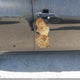 JTDBT4K39C1417954 2012 Toyota Yaris auction photo thumbnail 12