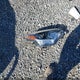 5YFBURHE1GP405611 2016 Toyota Corolla Le auction photo thumbnail 12