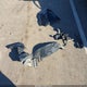 1N4AL21E48N554812 2008 Nissan Altima 2.5 S auction photo thumbnail 11