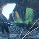 5NPE34AF9HH591094 2017 Hyundai Sonata Sport auction photo thumbnail 9