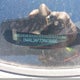 1N4AL3AP7DN438490 2013 Nissan Altima 2.5 S auction photo thumbnail 9