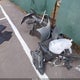 3N1AB7AP6FY370390 2015 Nissan Sentra S auction photo thumbnail 12